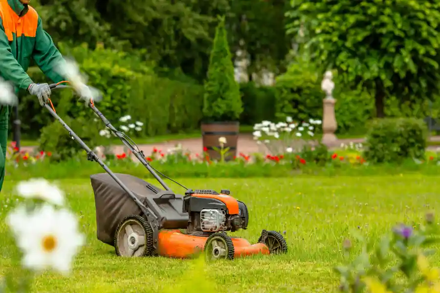 Professional Landscaping Services in Aloha, OR
