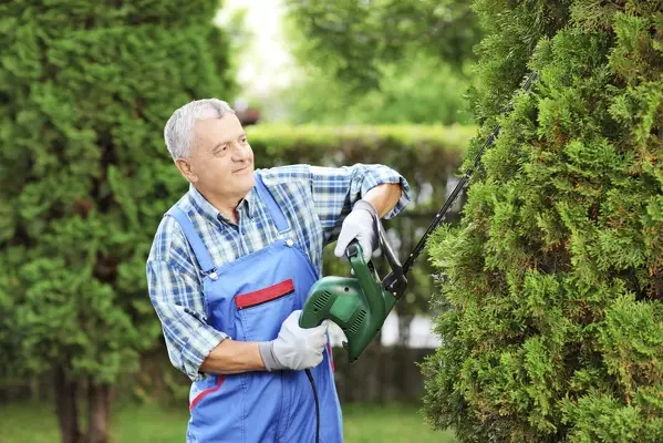 Tree Trimming Services in Aloha, OR